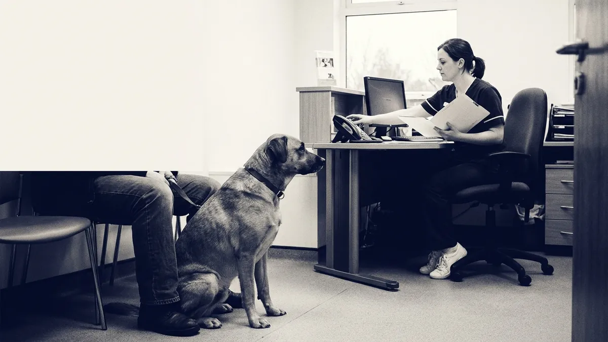 A veterinary nurse answering the phone while a dog waits with its owner